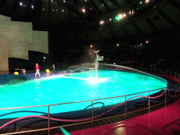 Zookeepers and Dolphins during the Aqua Bella show at the DolfijndoMijn theatre at the Dolfinarium Harderwijk