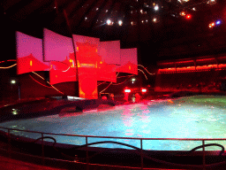 Zookeepers and Dolphins during the Aqua Bella show at the DolfijndoMijn theatre at the Dolfinarium Harderwijk