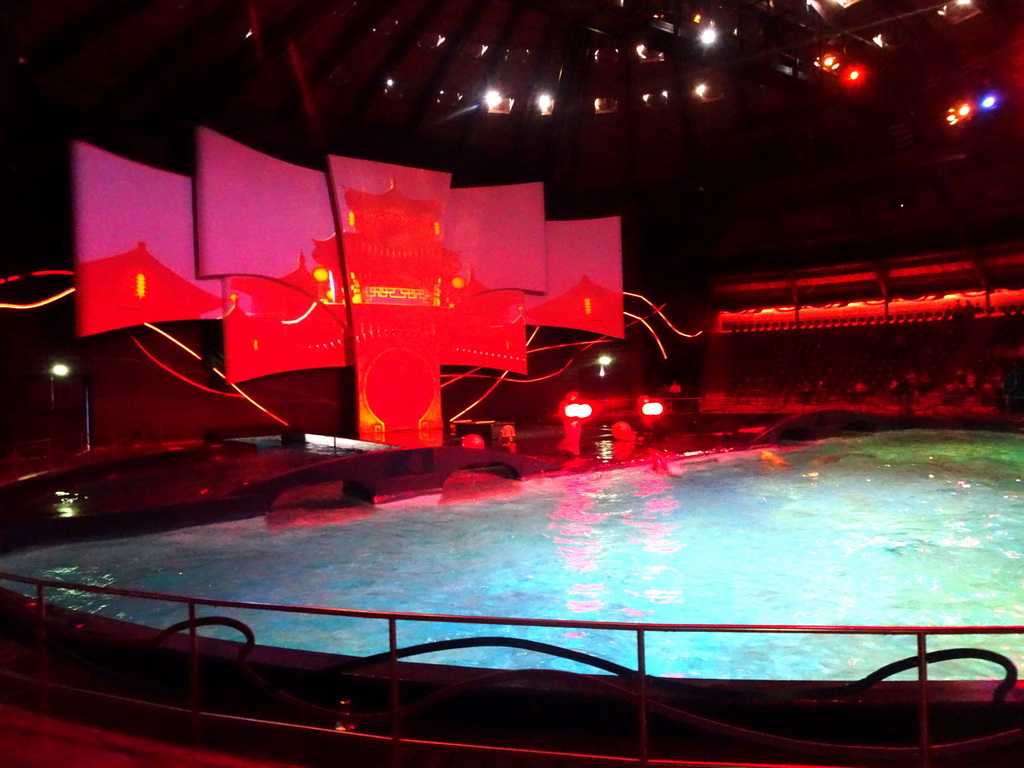 Zookeepers and Dolphins during the Aqua Bella show at the DolfijndoMijn theatre at the Dolfinarium Harderwijk