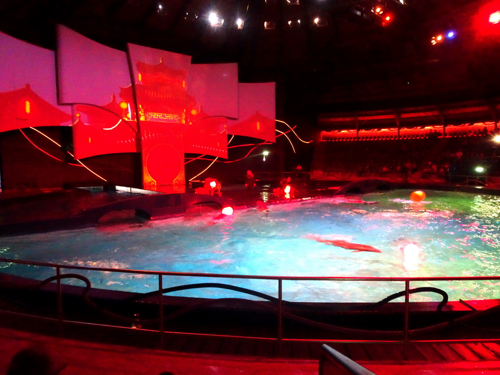 Zookeepers and Dolphins during the Aqua Bella show at the DolfijndoMijn theatre at the Dolfinarium Harderwijk