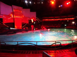 Zookeepers and Dolphins during the Aqua Bella show at the DolfijndoMijn theatre at the Dolfinarium Harderwijk