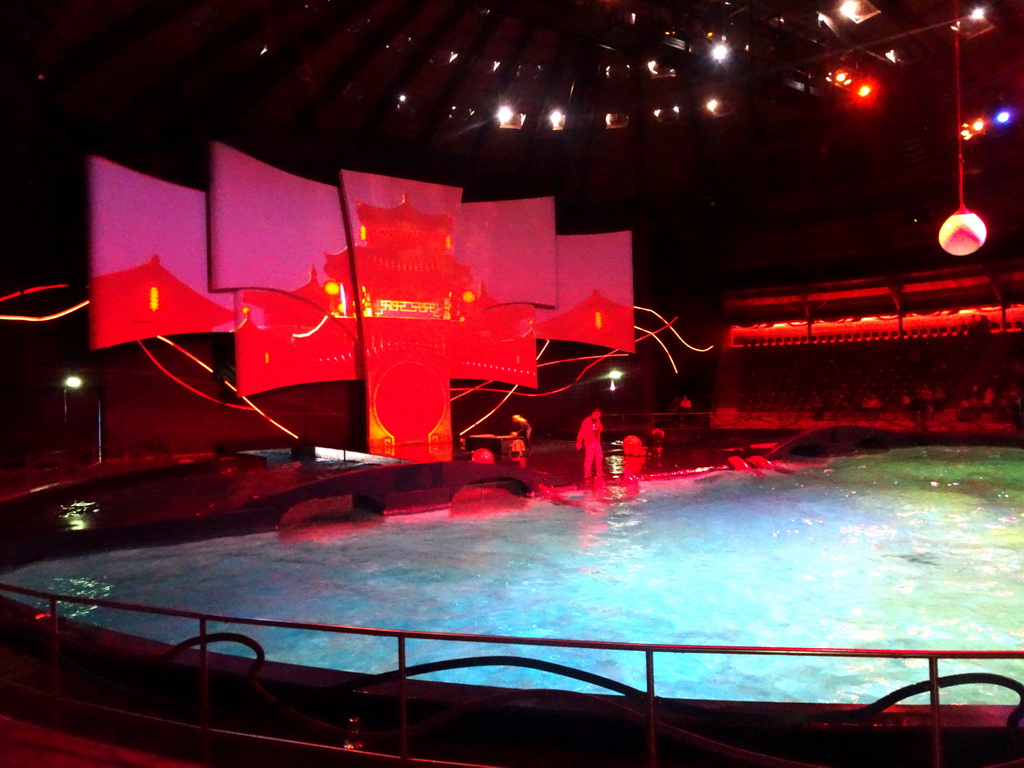 Zookeepers and Dolphins during the Aqua Bella show at the DolfijndoMijn theatre at the Dolfinarium Harderwijk