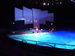 Zookeepers and Dolphins during the Aqua Bella show at the DolfijndoMijn theatre at the Dolfinarium Harderwijk