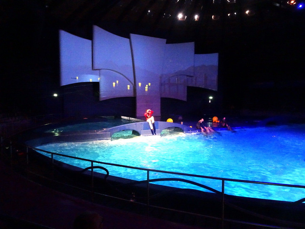 Zookeepers and Dolphins during the Aqua Bella show at the DolfijndoMijn theatre at the Dolfinarium Harderwijk