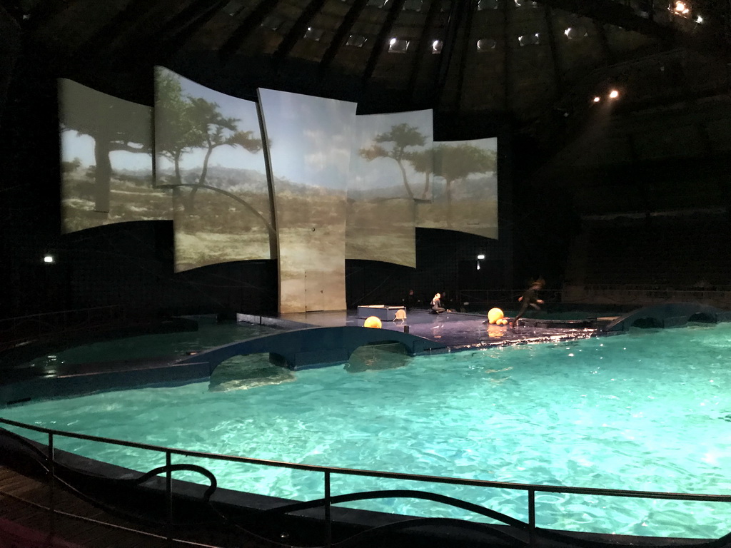 Zookeepers during the Aqua Bella show at the DolfijndoMijn theatre at the Dolfinarium Harderwijk