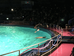 Zookeeper and Dolphin during the Aqua Bella show at the DolfijndoMijn theatre at the Dolfinarium Harderwijk