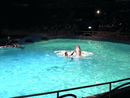 Zookeepers and Dolphins during the Aqua Bella show at the DolfijndoMijn theatre at the Dolfinarium Harderwijk