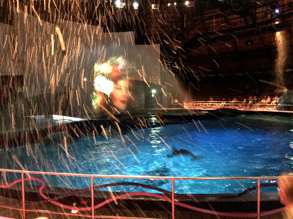 Projection, fake snow and Dolphins during the Aqua Bella show at the DolfijndoMijn theatre at the Dolfinarium Harderwijk