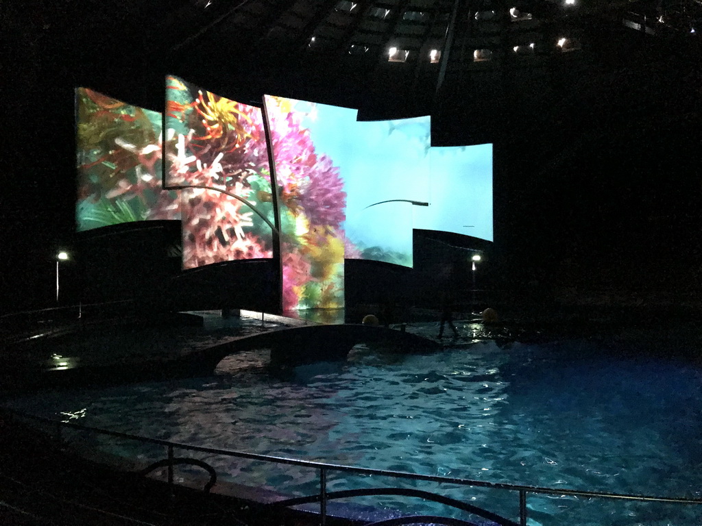 Zookeeper during the Aqua Bella show at the DolfijndoMijn theatre at the Dolfinarium Harderwijk