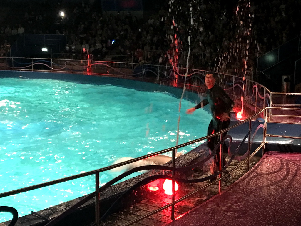 Zookeeper and Dolphins during the Aqua Bella show at the DolfijndoMijn theatre at the Dolfinarium Harderwijk