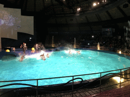 Zookeepers and Dolphins during the Aqua Bella show at the DolfijndoMijn theatre at the Dolfinarium Harderwijk