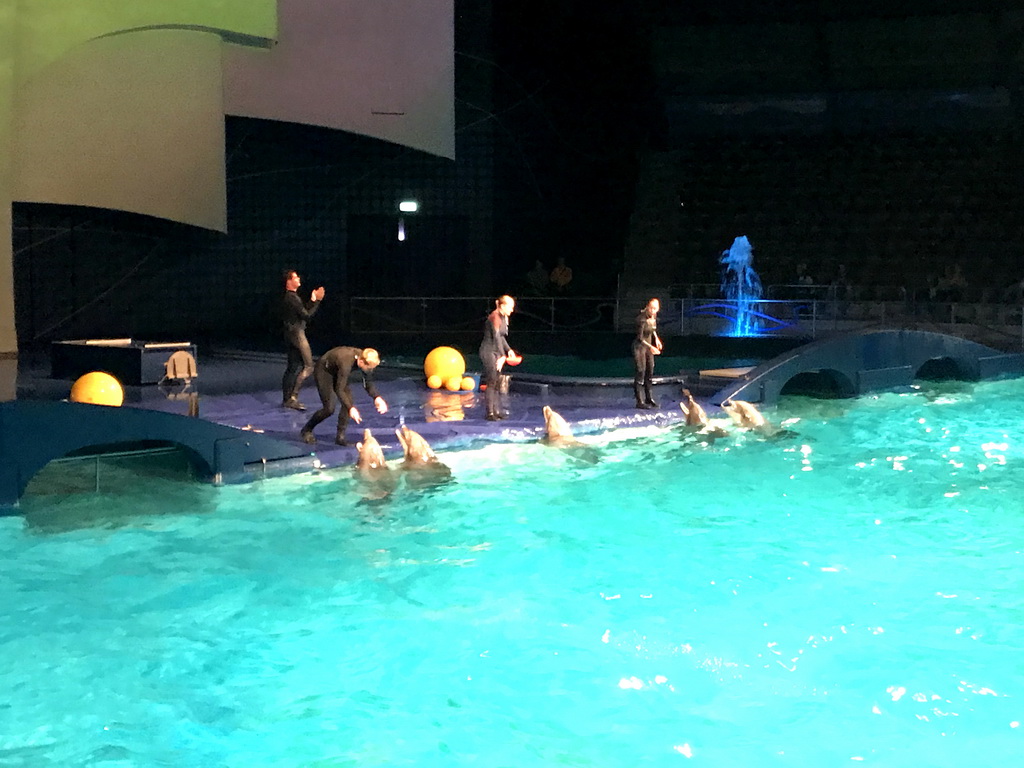 Zookeepers and Dolphins during the Aqua Bella show at the DolfijndoMijn theatre at the Dolfinarium Harderwijk