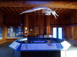 Exhibition on Dolphins at the DolfijnenDelta area at the Dolfinarium Harderwijk