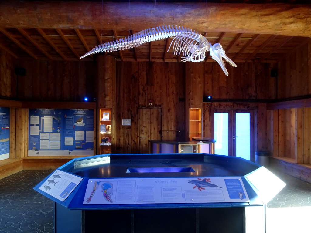 Exhibition on Dolphins at the DolfijnenDelta area at the Dolfinarium Harderwijk