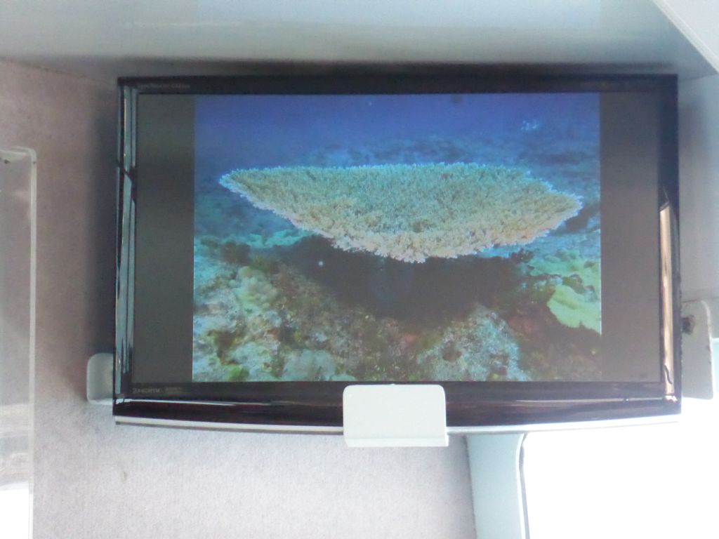 Coral on the screen at our Seastar Cruises tour boat