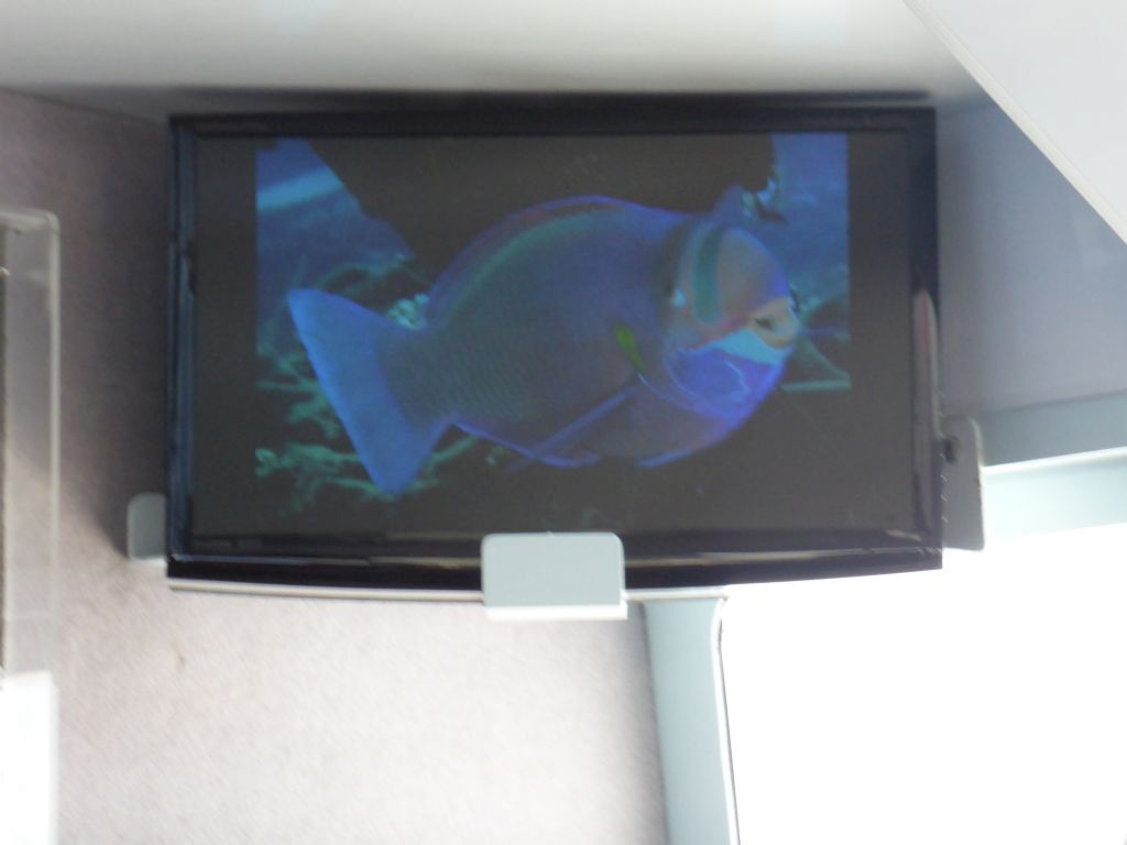 Fish on the screen at our Seastar Cruises tour boat