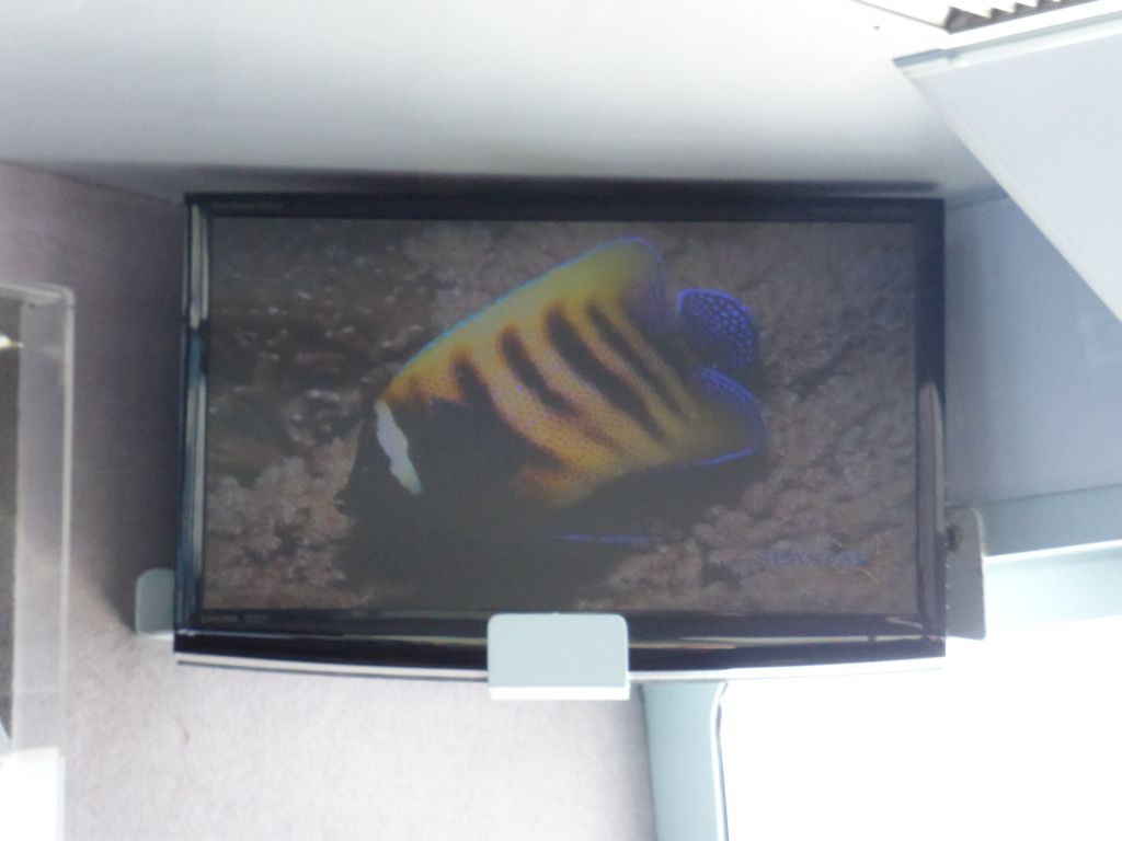 Fish on the screen at our Seastar Cruises tour boat