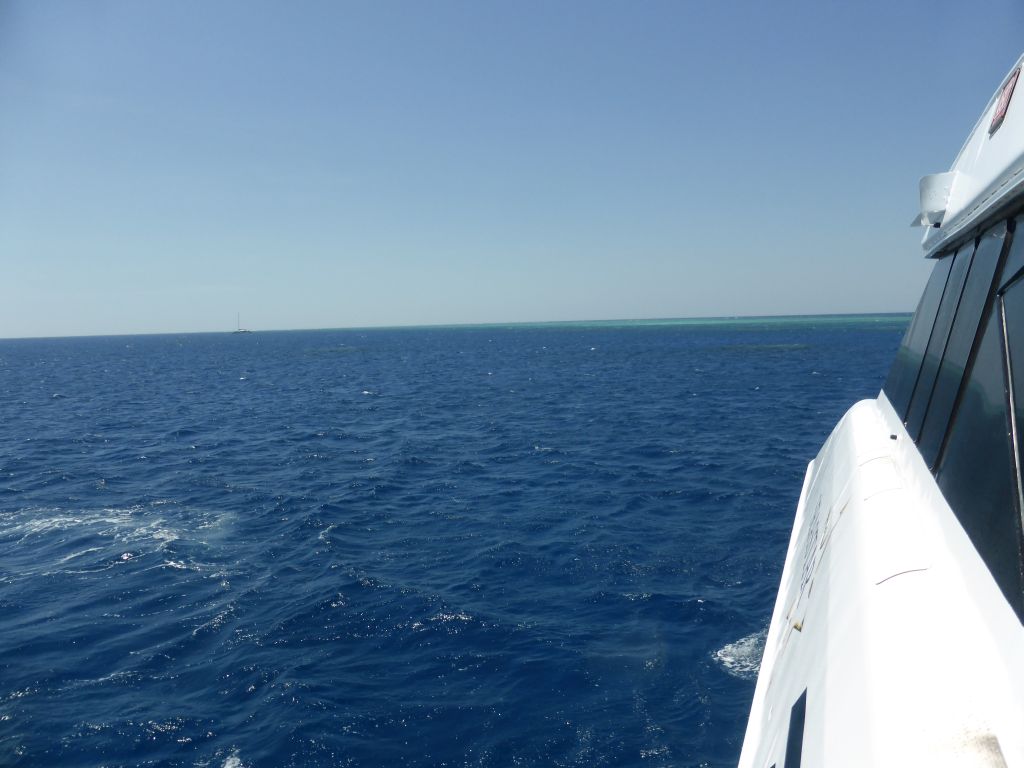 Boat and Hastings Reef, viewed from our Seastar Cruises tour boat