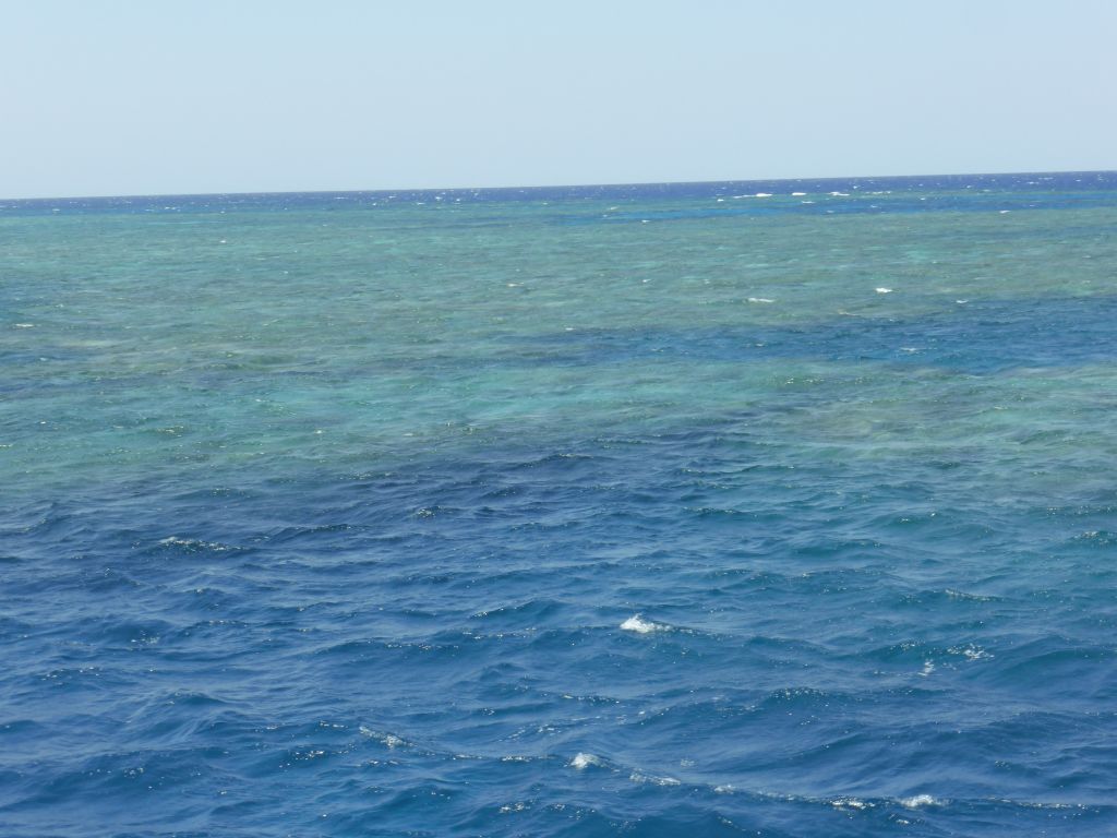 Hastings Reef, viewed from our Seastar Cruises tour boat