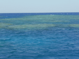 Hastings Reef, viewed from our Seastar Cruises tour boat