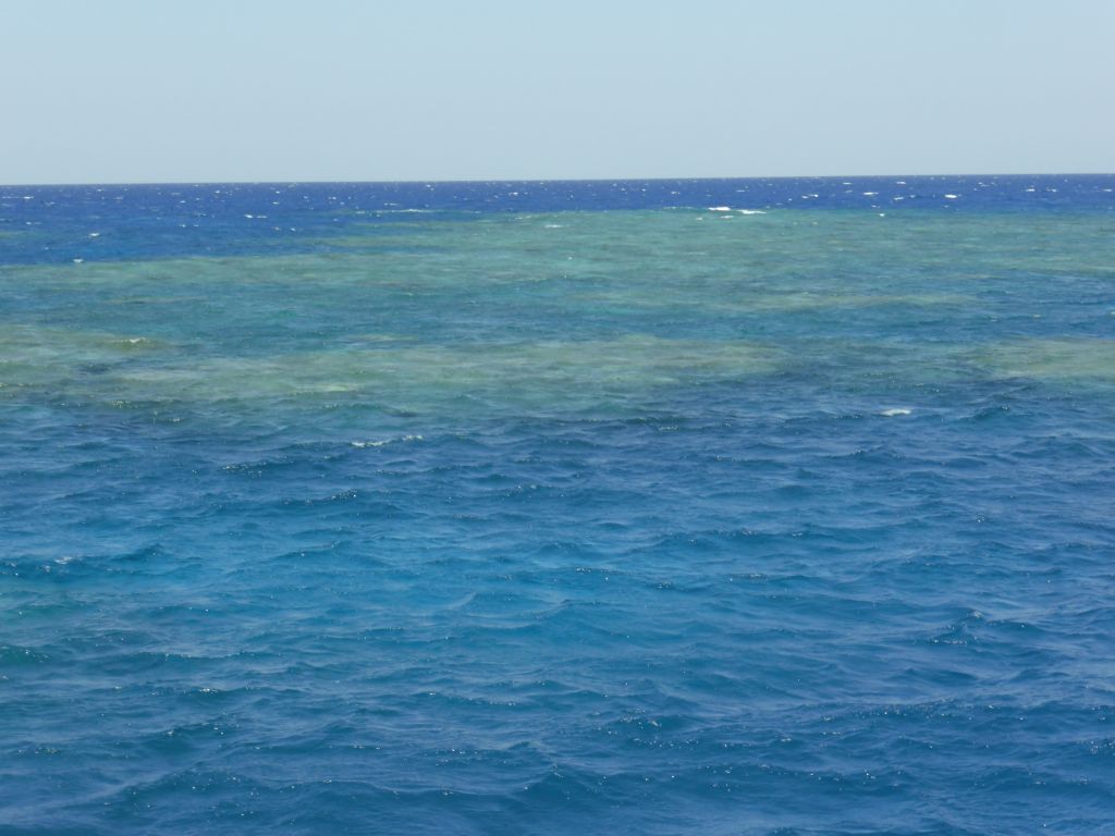 Hastings Reef, viewed from our Seastar Cruises tour boat