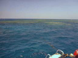 Hastings Reef, viewed from our Seastar Cruises tour boat