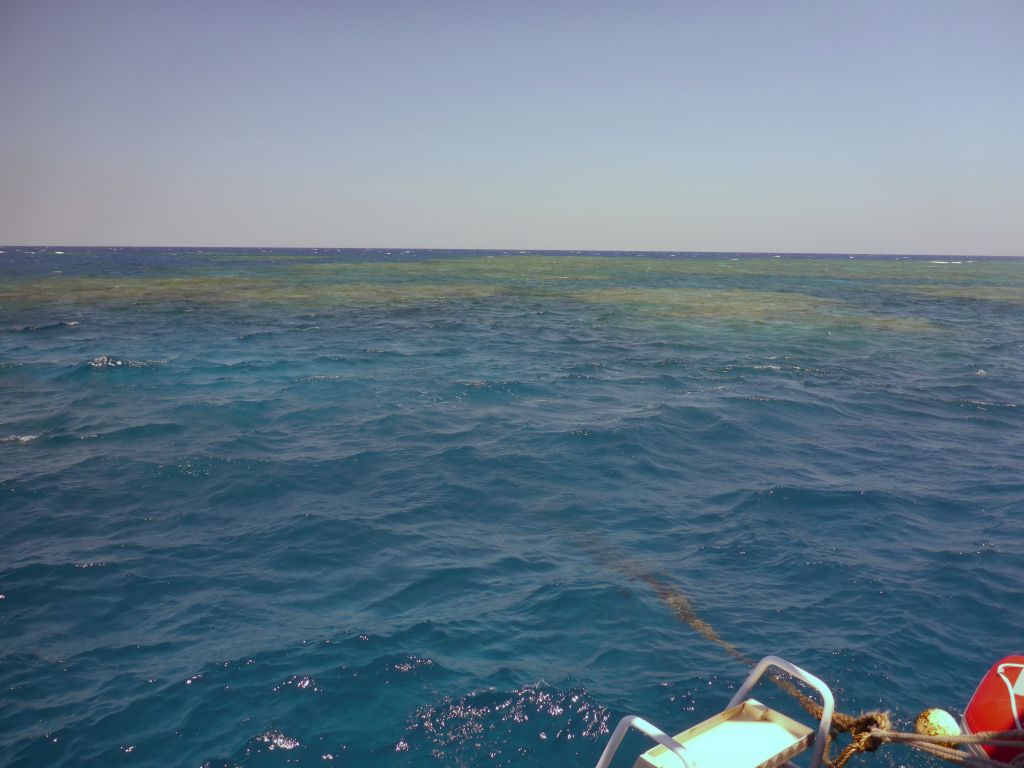 Hastings Reef, viewed from our Seastar Cruises tour boat