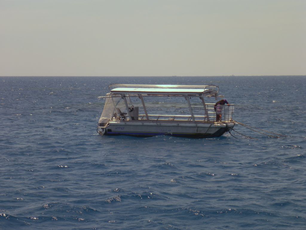 Tour guide at the Seastar Cruises glass bottom boat, viewed from our Seastar Cruises tour boat