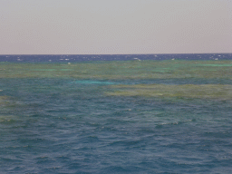 Hastings Reef, viewed from our Seastar Cruises tour boat