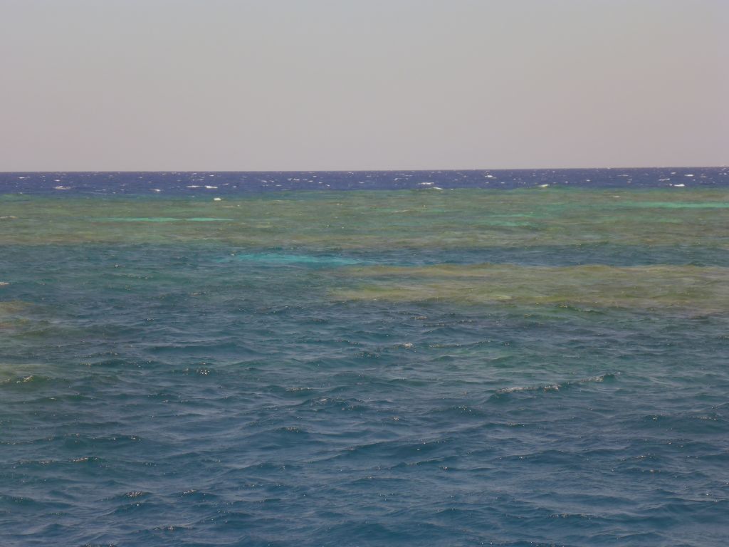 Hastings Reef, viewed from our Seastar Cruises tour boat