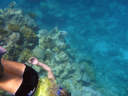 Tour guide and coral, viewed from underwater
