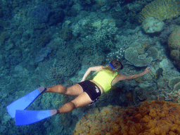 Tour guide making a photo of a fish and coral, viewed from underwater