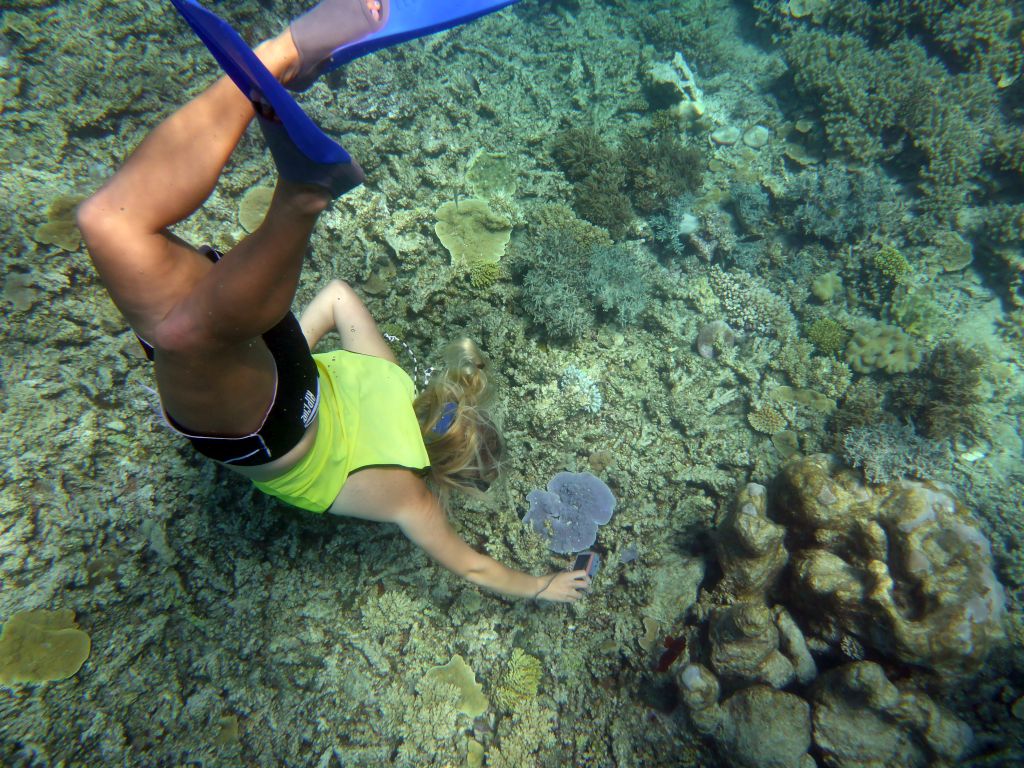 Tour guide making a photo of a fish and coral, viewed from underwater