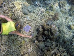 Tour guide making a photo of coral, viewed from underwater