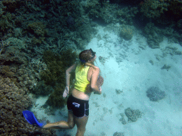 Tour guide with Sea Cucumber and coral, viewed from underwater