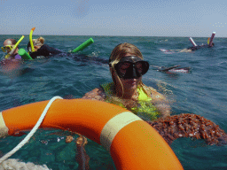 Tour guide with Sea Cucumber and other snorkelers