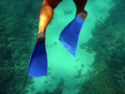 Coral and snorkel fins, viewed from underwater
