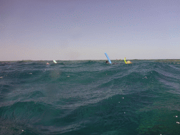 Snorkelers, viewed from the reefs at Hastings Reef