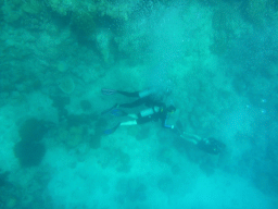 Coral and divers, viewed from underwater