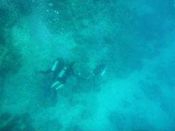 Coral, divers and anchor stones, viewed from underwater