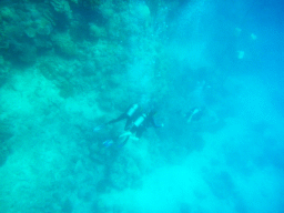 Coral, divers and anchor stones, viewed from underwater
