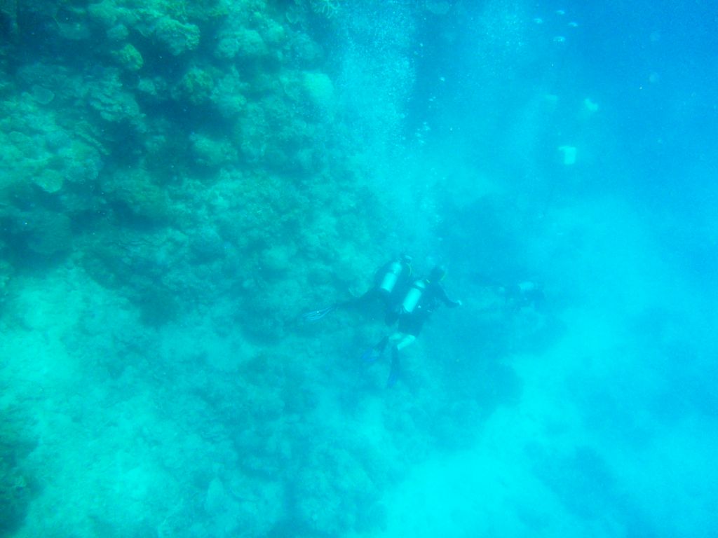 Coral, divers and anchor stones, viewed from underwater