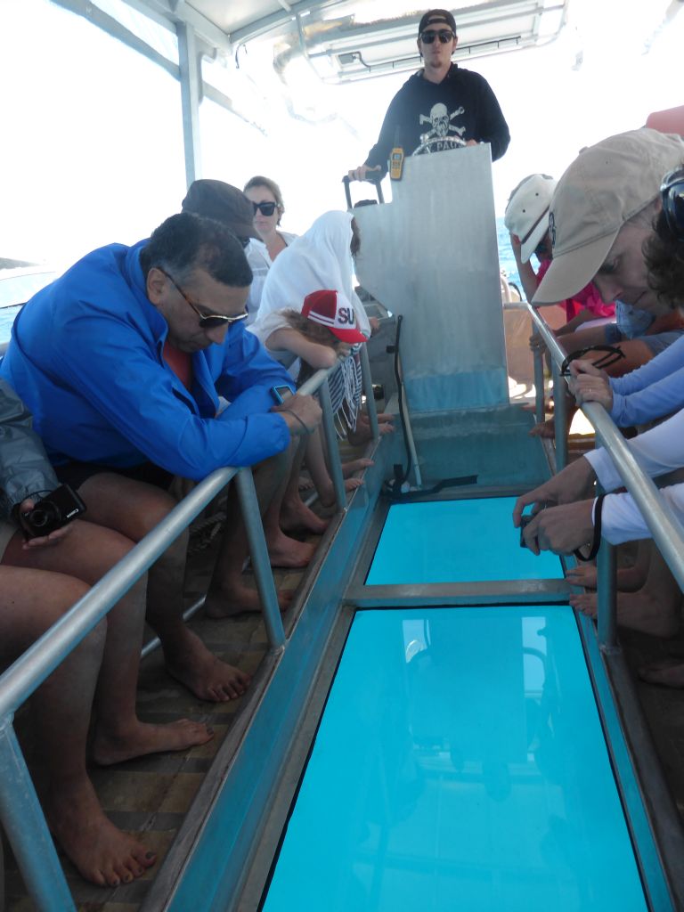 Tour guide and tourists at the Seastar Cruises glass bottom boat