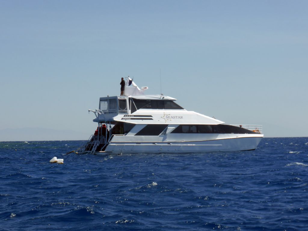 Our Seastar Cruises tour boat, viewed from the Seastar Cruises glass bottom boat