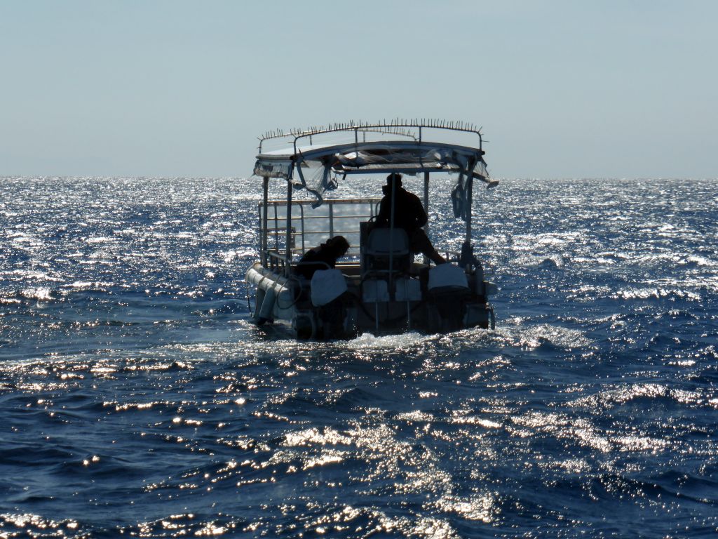 The Seastar Cruises glass bottom boat, viewed from our Seastar Cruises tour boat