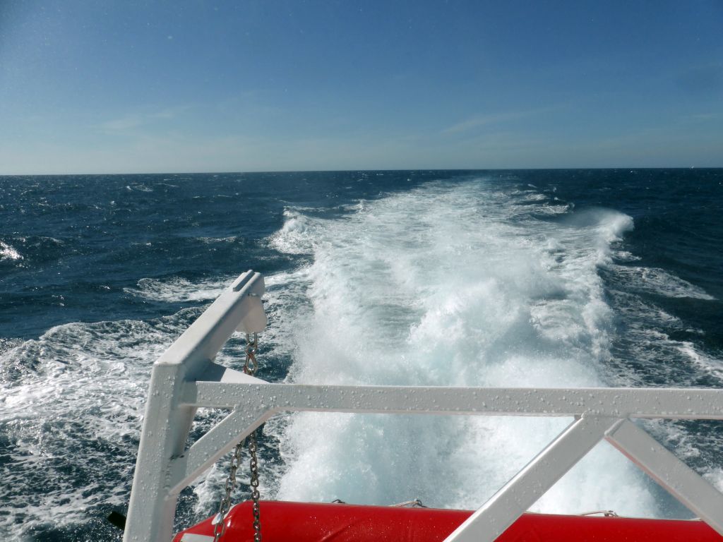 Back side of our Seastar Cruises tour boat going to Cairns