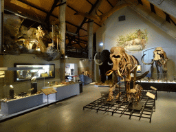 Interior of the main room of the main building of the HistoryLand museum