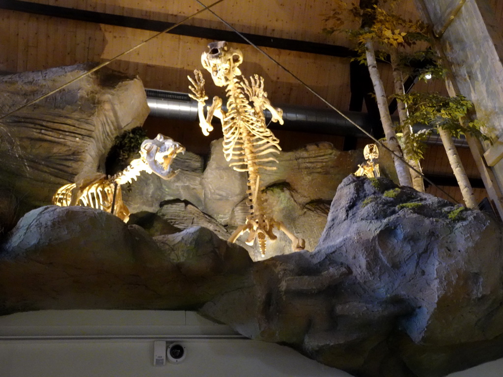 Skeletons at the upper floor of the main building of the HistoryLand museum, viewed from the ground floor