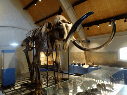 Mammoth skeleton at the ground floor of the main building of the HistoryLand museum