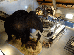 Mammoth statues and skeletons at the ground floor of the main building of the HistoryLand museum, viewed from the upper floor